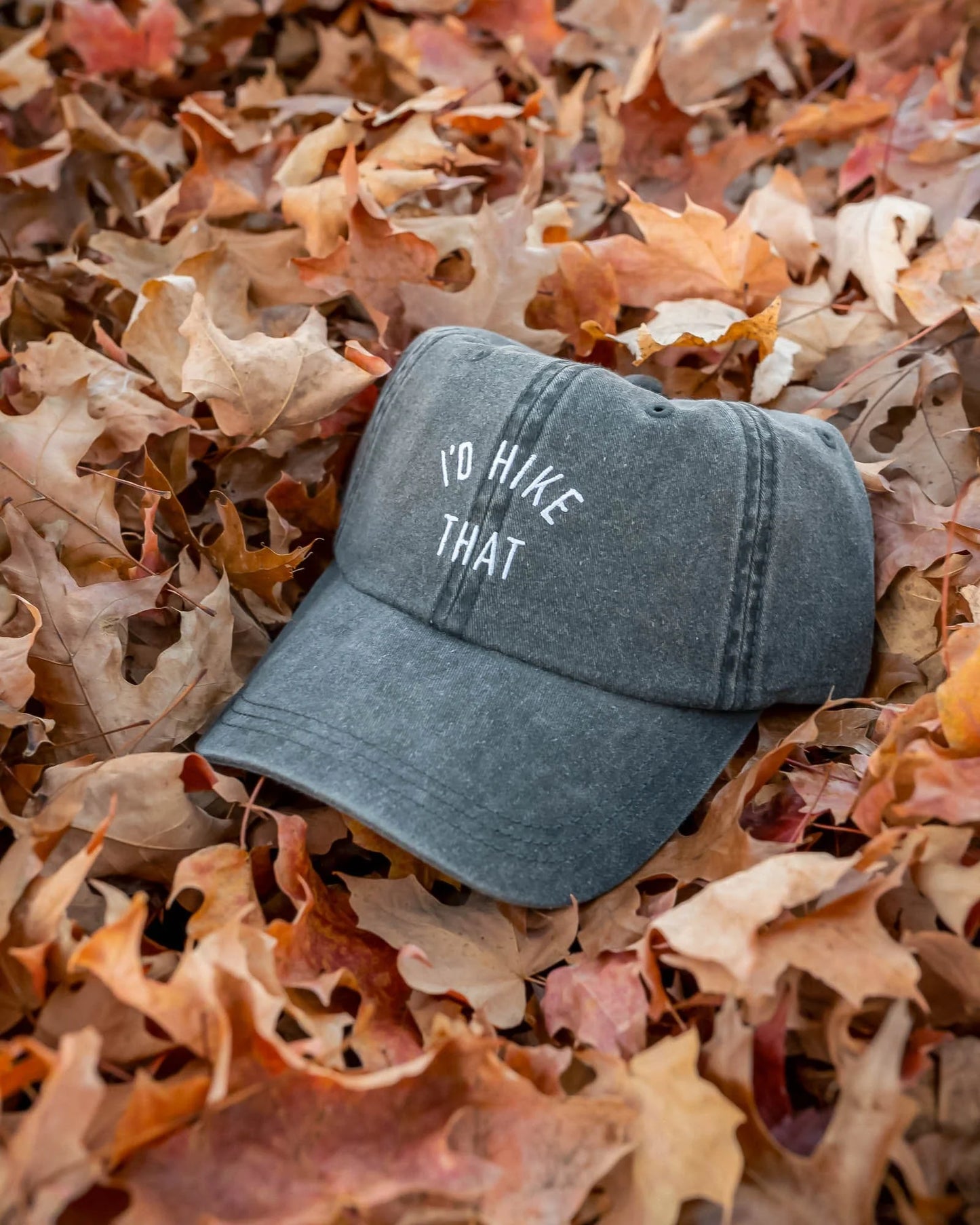 I'd Hike That Dad Hat - Faded Black